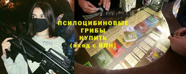 метадон Алексин