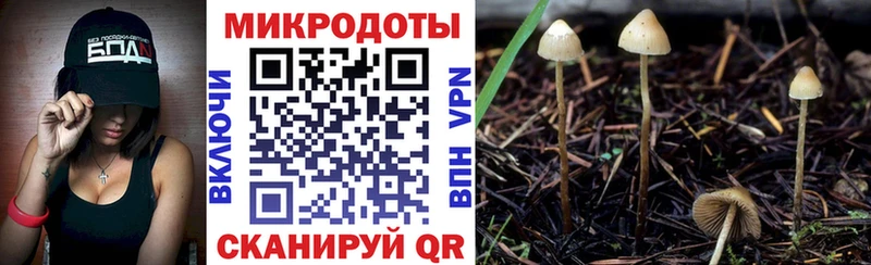 Псилоцибиновые грибы Psilocybe  ОМГ ОМГ зеркало  Арамиль  даркнет сайт 